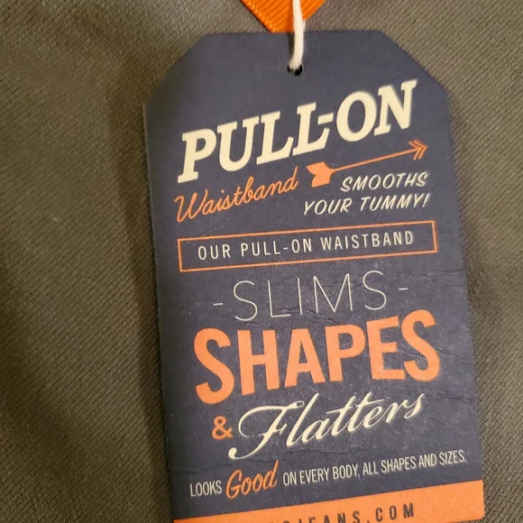 Jag Jeans Women's 8P pull on shorts. Eucalyptus color. No belt NWT. - Picture 3 of 9